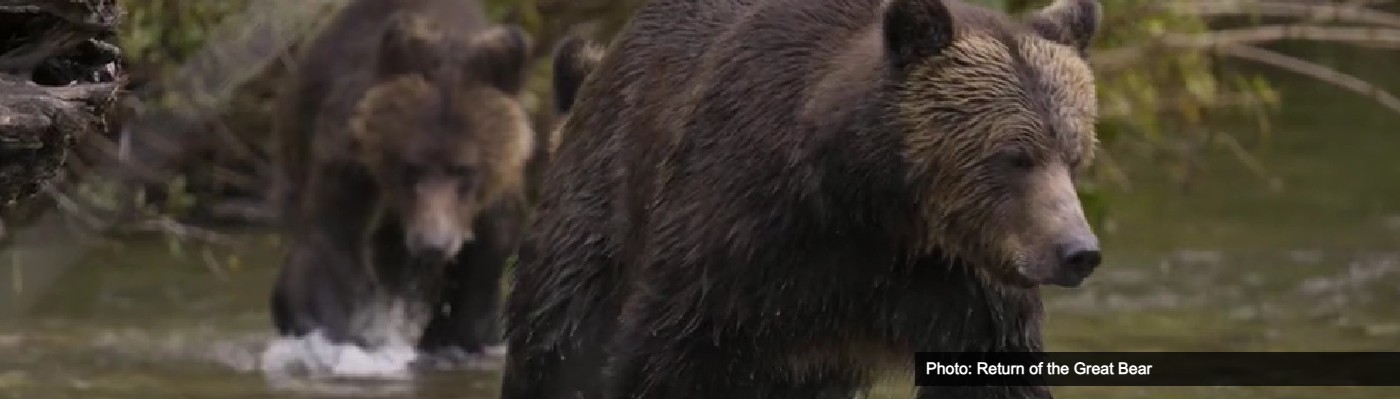 Dundee Mountain Film Festival